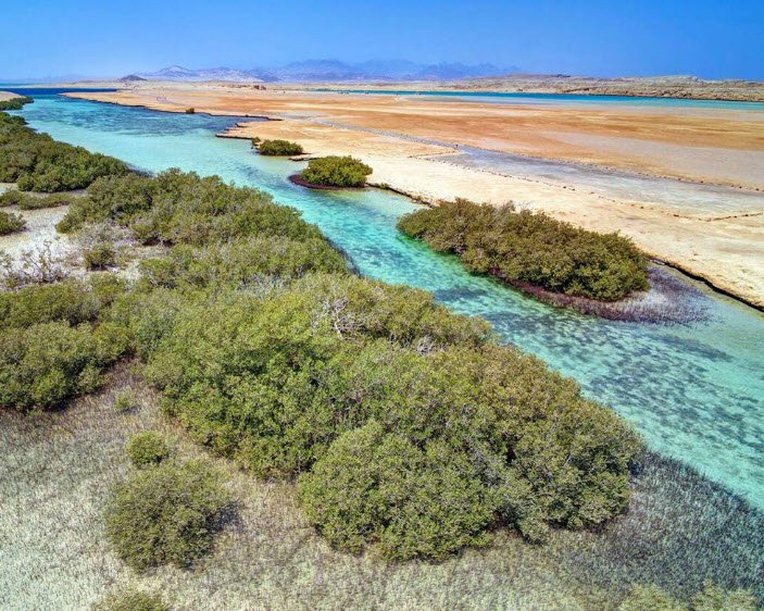 Ras Mohamed National Park, Near Sharm El-Sheikh, South Sinai, Egypt